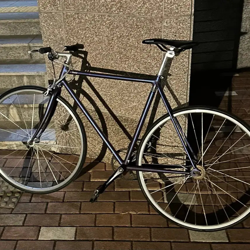 [BUNJANG] Belloline Lucy 53 Size Bicycle / 벨로라인 루시