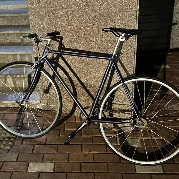 [BUNJANG] Belloline Lucy 53 Size Bicycle / 벨로라인 루시