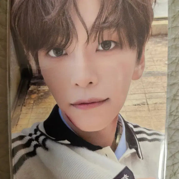 [BUNJANG] Aldi One Shinlong Photocard / 알디원 씬롱포카