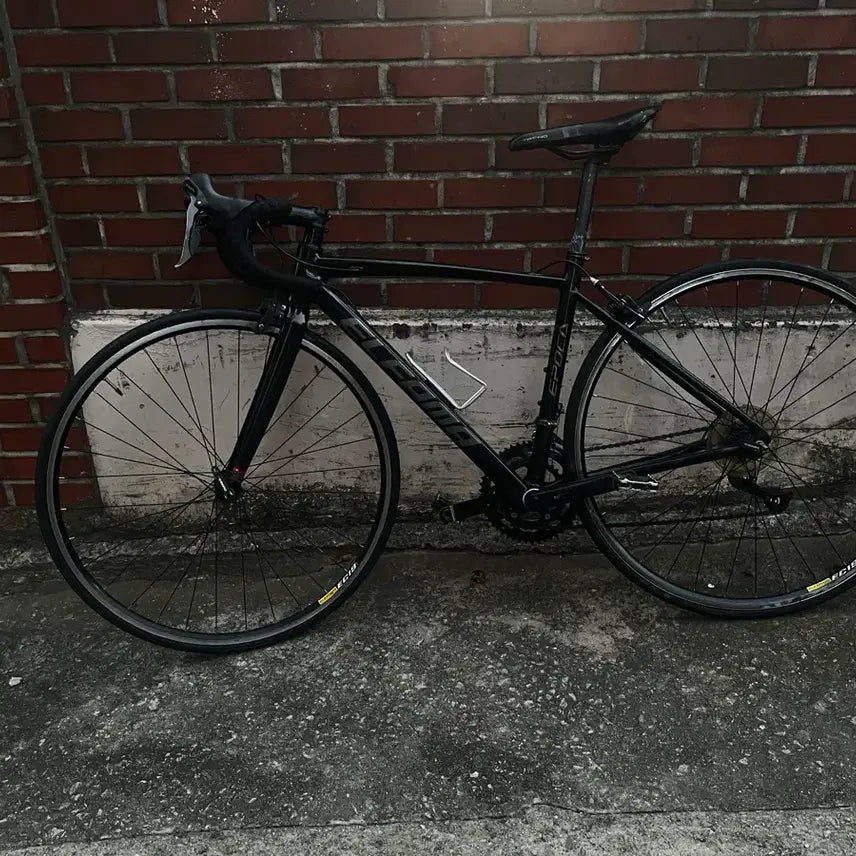 [BUNJANG] Elpama Epoca Road Bike / (안팔림)엘파마 에포카 로드자전거 판매 대차