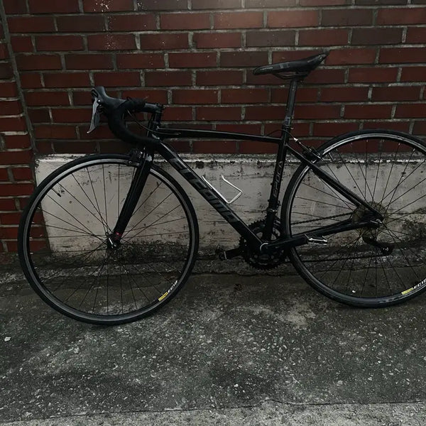 [BUNJANG] Elpama Epoca Road Bike / (안팔림)엘파마 에포카 로드자전거 판매 대차