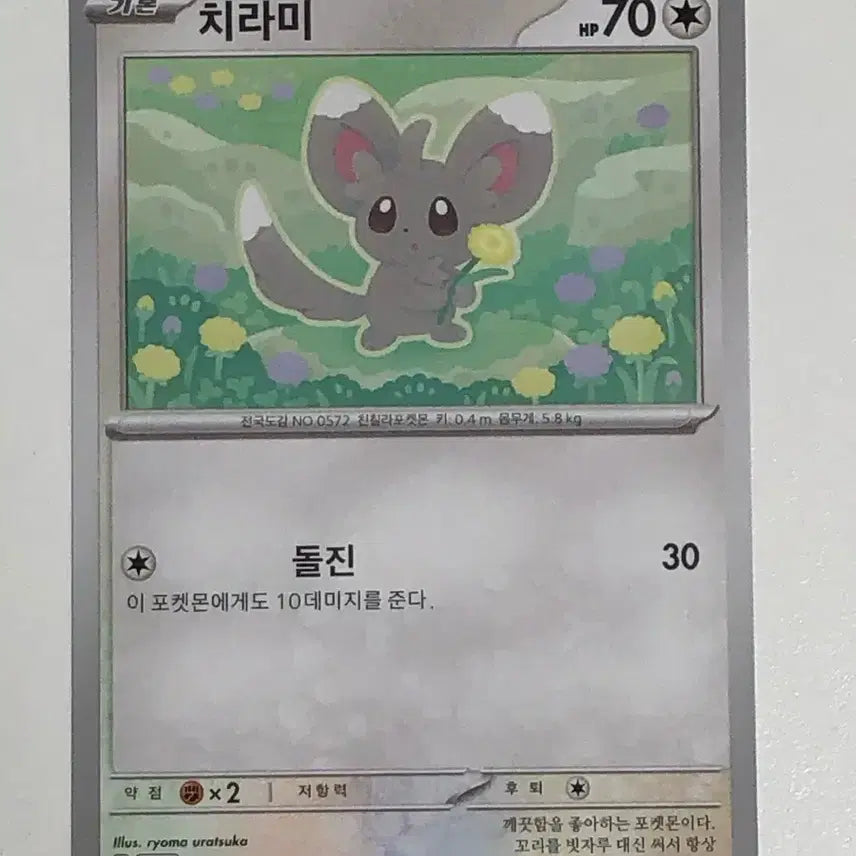 [BUNJANG] Pokemon Card Chirami / 포켓몬카드 치라미