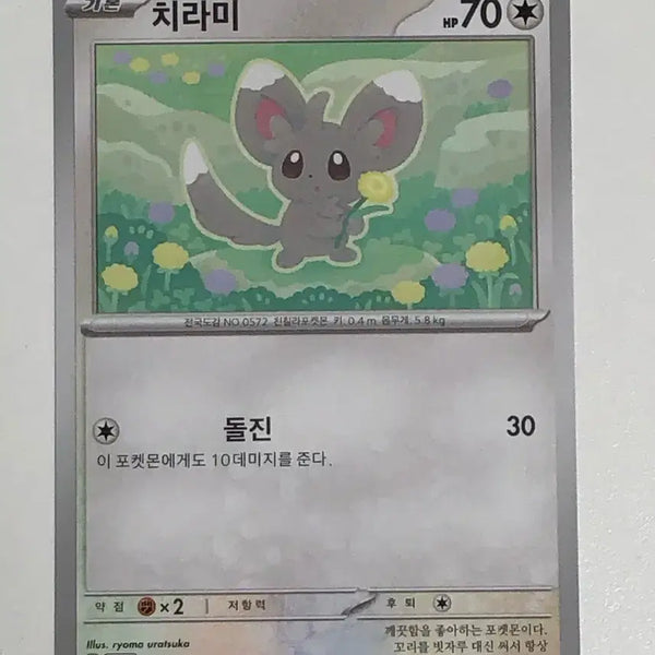 [BUNJANG] Pokemon Card Chirami / 포켓몬카드 치라미
