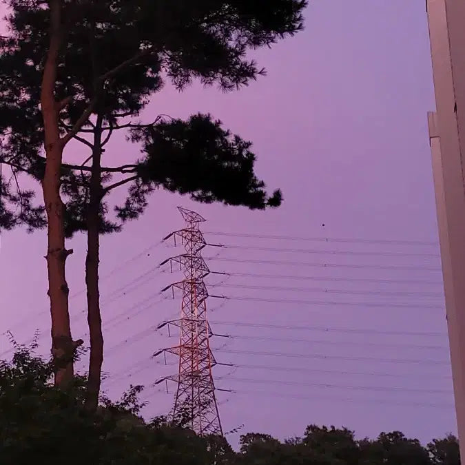 [BUNJANG] Tsunami Purple M Complete Bike / 보라쓰나미 M 완차