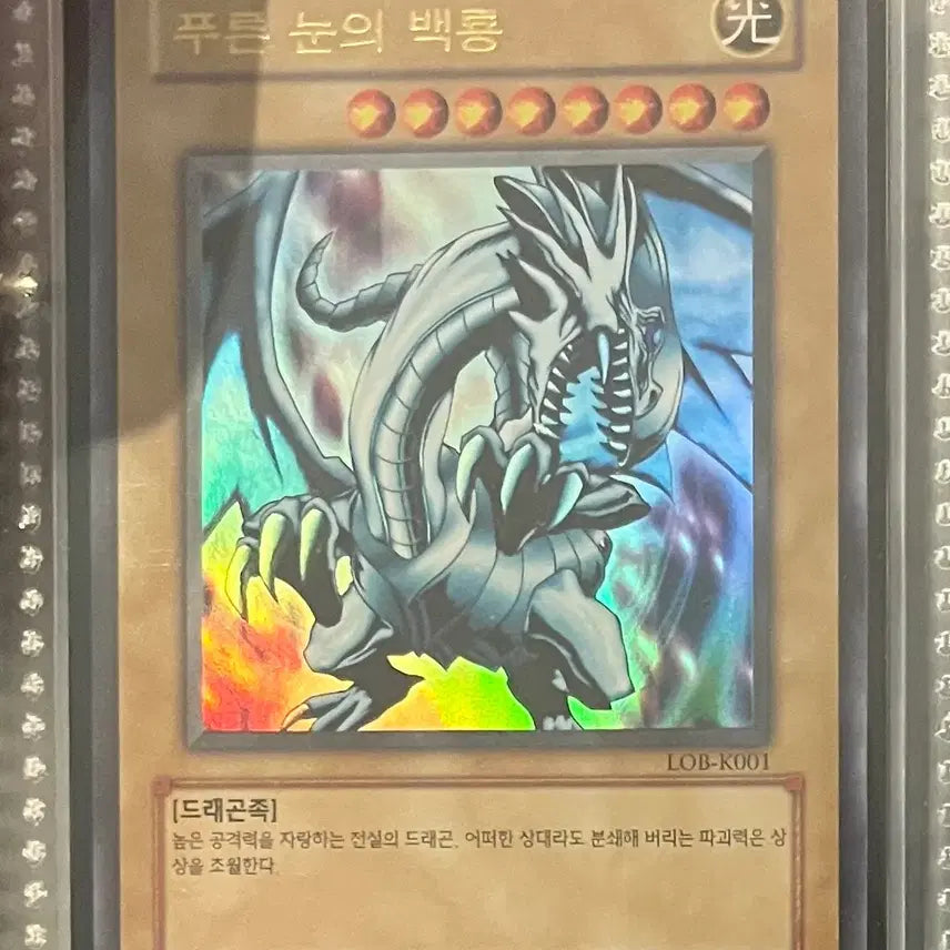 [BUNJANG] Yu-Gi-Oh! & Pokémon Cards / [상태 S급 + 합리적 가격] 유희왕 카드 + 포켓몬 카드 낱장 or 묶어서 판매합니다!
