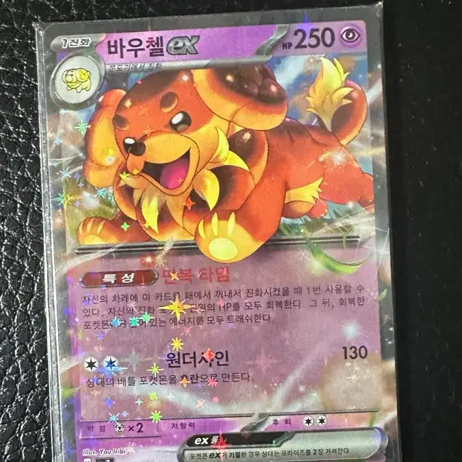 [BUNJANG] Bowsell EX Pokémon Card Set / 바우첼 EX 포켓몬 카드
