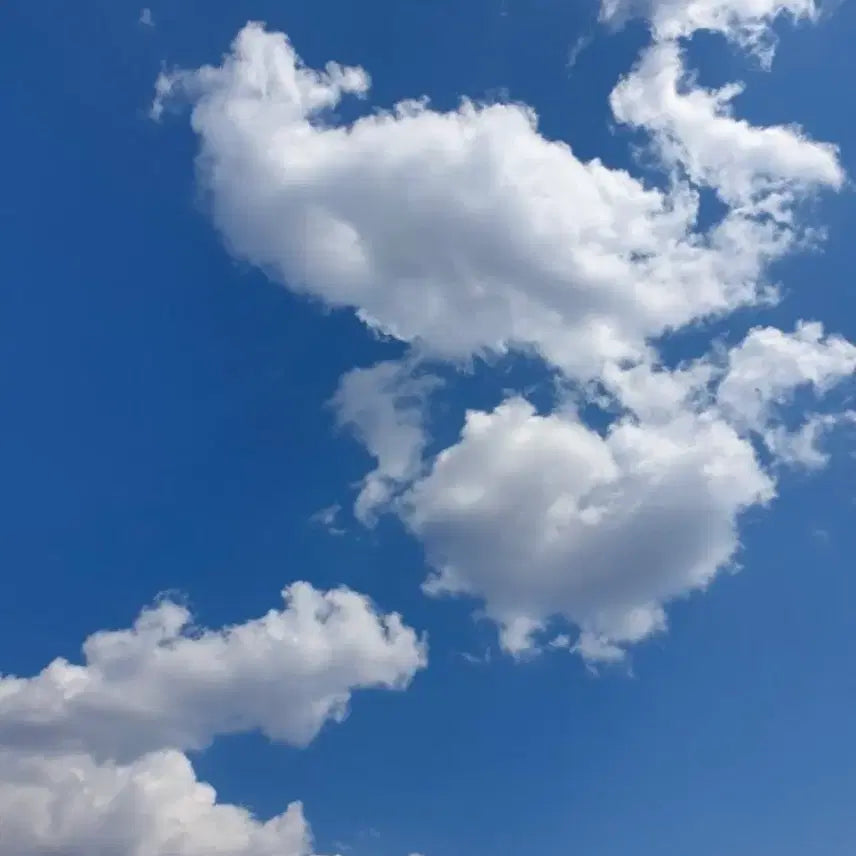 [BUNJANG] DIY Sticker Paper Bundle / 모조지 나눔(다꾸)(다이소X) 후기 남겨주실분만 8/7까지 받고 없으면 글 내릴께요!
