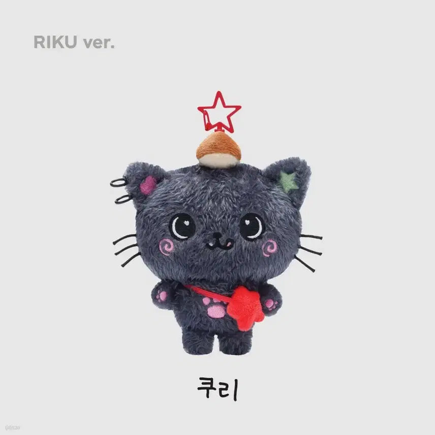[BUNJANG] NCT Riku Kuri Initial Edition Photocard Holder / 꼬질쿠리 nct 리쿠 쿠리 초판 미개봉