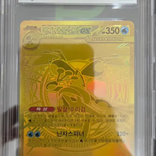 [BUNJANG] Mega Blastoise EX 2026 Gold Card GEM MT 10 / 메가개굴자MUR BRG10