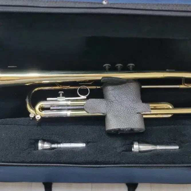 [BUNJANG] Getzen 300 Series Trumpet (USA Made) / 겟젠 300시리즈 트럼펫( 미국산) 팝니다