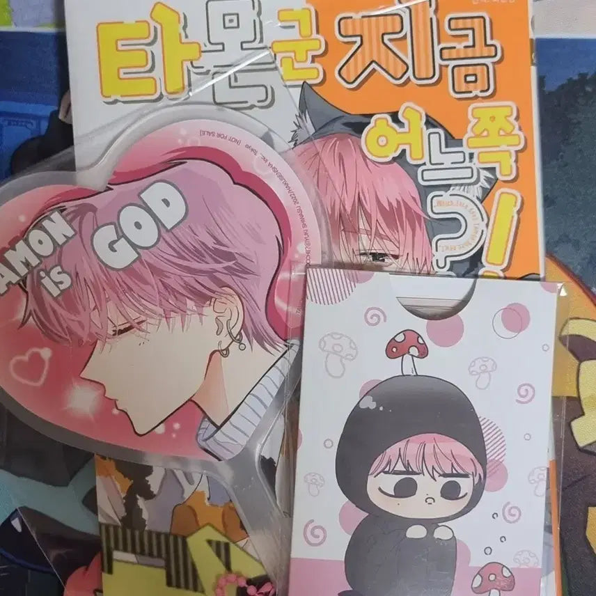 [BUNJANG] Tamontakku: Kimi to Boku. / 타몬군 지금 어느 쪽?! 12권 초판 특전 일괄