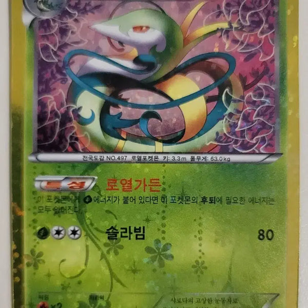 [BUNJANG] Pokemon Card Shiny Collection Serperior Trading / 포켓몬카드 샤이니 컬렉션 샤로다 교환