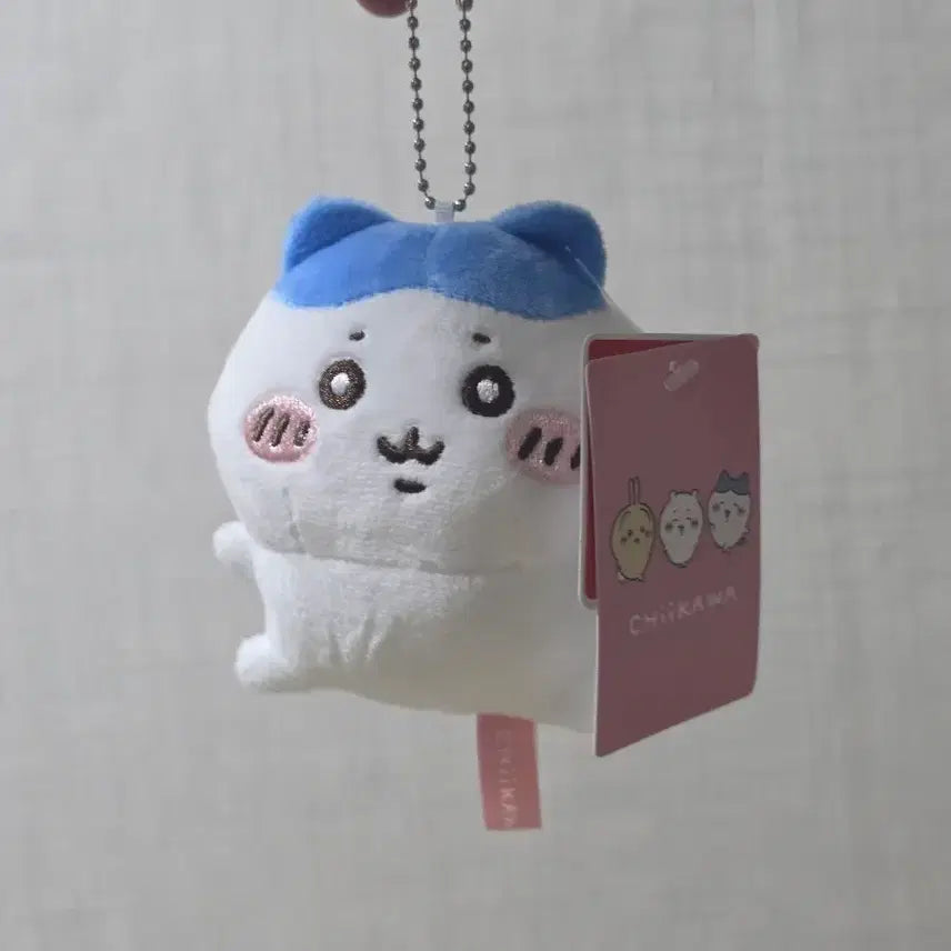 [BUNJANG] Chiikawa Hachiwari Bean Eye Plush Doll / 치이카와 콩눈 하치와레