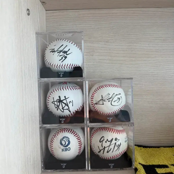 [BUNJANG] Kia Tigers Signed Baseball Set (6) / 기아 야구공