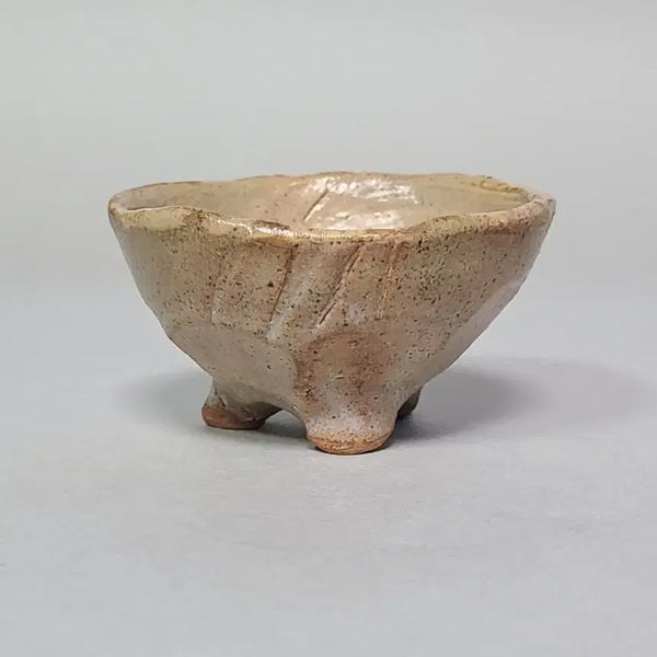 [BUNJANG] Jidang Park Bu-won Celadon Porcelain Teacup / 지당 박부원샘 찻잔