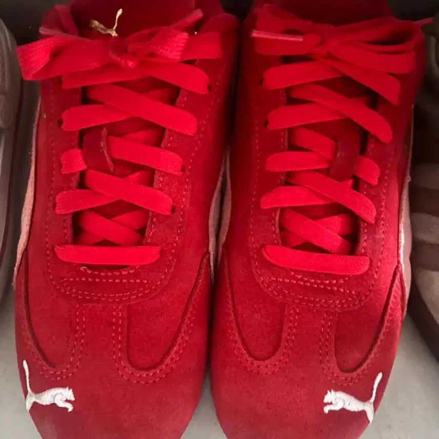 [BUNJANG] Puma Speedcat Red Shoes / 퓨마 스피드캣 레드 230
