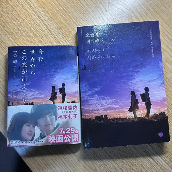 [BUNJANG] If My Heart Had Wings - Original & Translated Editions Bundle / 오늘밤 세계에서 이 사랑이 사라진다해도 책 원서,번역본 일괄 판매합니다!