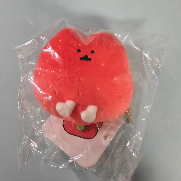 [BUNJANG] Nagano Market Strawberry Bear Plush / 나가노마켓 농담곰 딸기곰