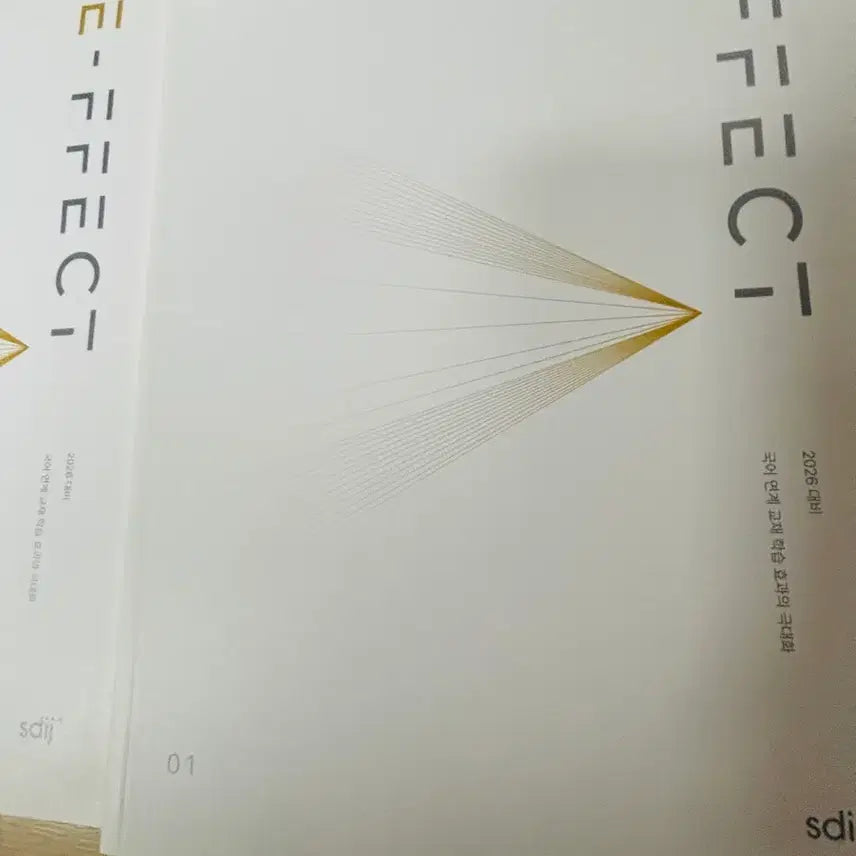 [BUNJANG] 2026 Era Talent E-FFECT Reading & Literature N-Zet Textbook Bundle / 2026 시대인재 E-FFECT 독서, 문학 N제