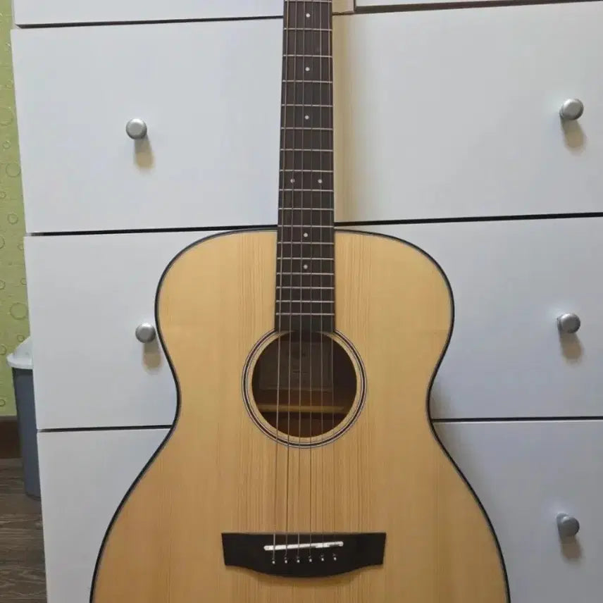 [BUNJANG] HEX M100 Guitar / HEX M100 기타 팔아요
