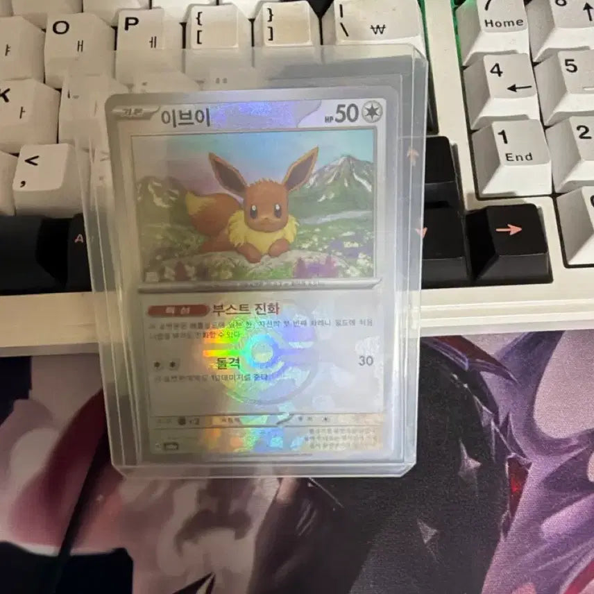 [BUNJANG] Pokemon Card Eevee Master Ball SV8a / 포켓몬카드 SV8a 이브이 마스터볼 판매