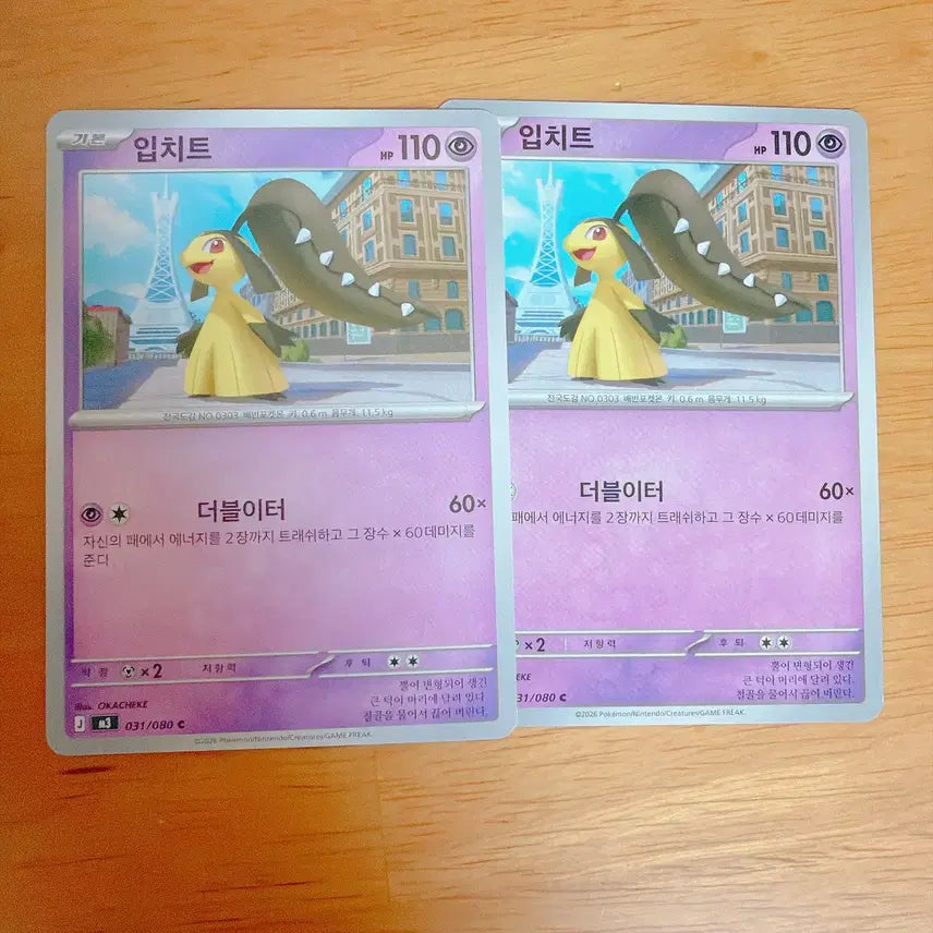 [BUNJANG] Pokemon Card Groudon / 포켓몬 카드 입치트