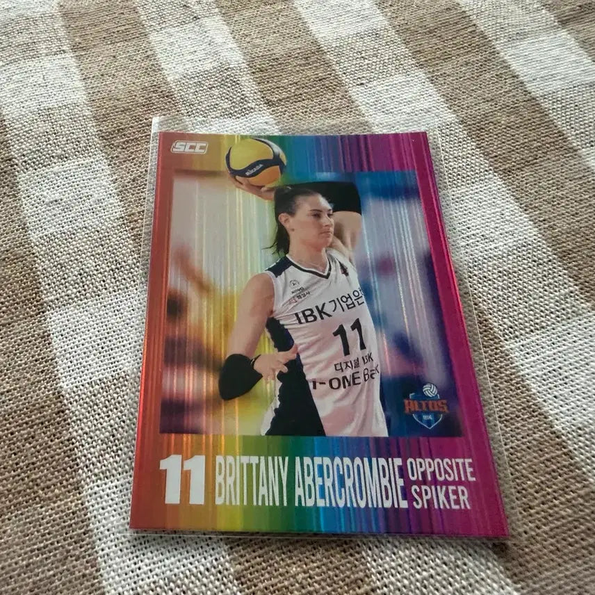 [BUNJANG] SCC KOVO Official Painting Parallel Baseball Card / SCC KOVO 오피셜 페인팅페러렐 기업은행 아베크롬비