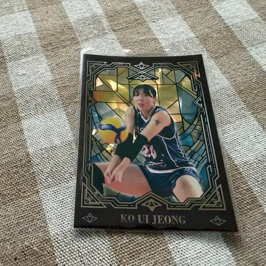 [BUNJANG] SCC KOVO Carbon Glossy Do-ru Gong-sa Go Eui-jung Volleyball Card / SCC KOVO 카본 글로시 도로공사 고의정
