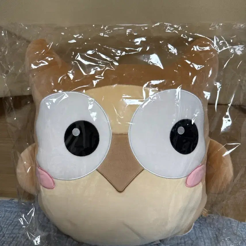 [BUNJANG] SidaeInJaeN Owl Plush Doll (Sealed) / 시대인재N 전용 부엉이 인형 (미개봉) 판매합니다