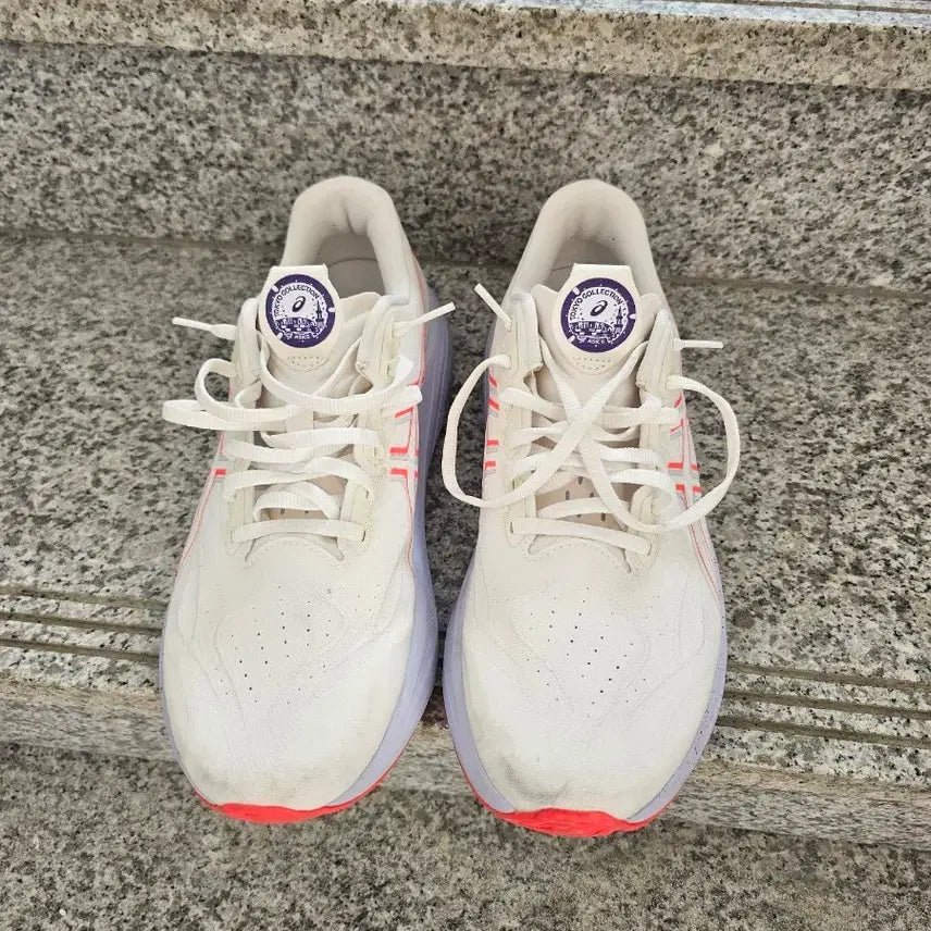 [BUNJANG] Asics GT-2000 14 Running Shoes / gt200014 러닝화