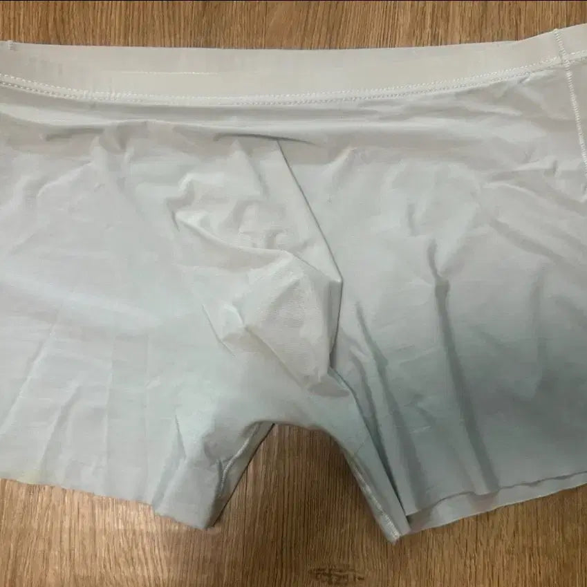 [BUNJANG] Men's Mesh Briefs / 남자 분모자 팬티 중고
