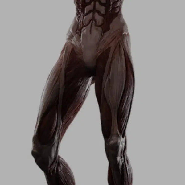 [BUNJANG] Attack on Titan Female Titan A Prize Unsealed Figure / 택포59) 여성형거인 a상 (개봉)