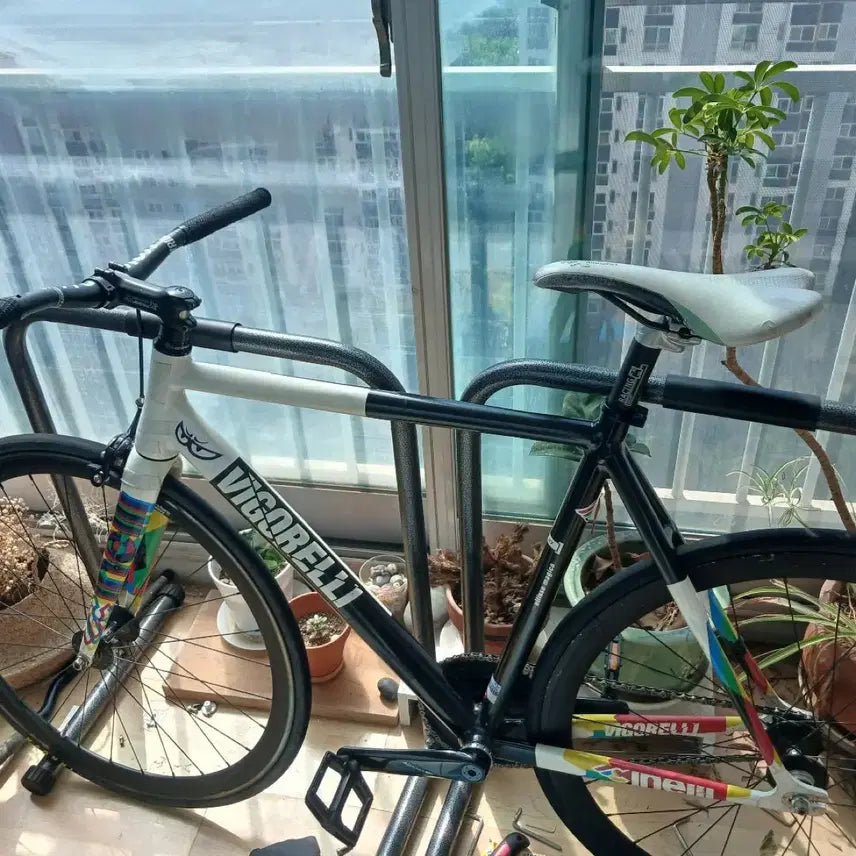 [BUNJANG] Cinelli Vigorelli Caleido Bicycle Frame / 치넬리 비고렐리 칼레이도