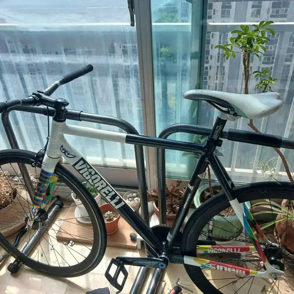 [BUNJANG] Cinelli Vigorelli Caleido Bicycle Frame / 치넬리 비고렐리 칼레이도