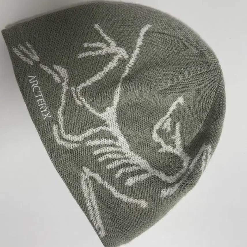 [BUNJANG] Arc'teryx Bird Head Toque Hat / 아크테릭스 버드 헤드 토크 해비타트 비니 팝니다