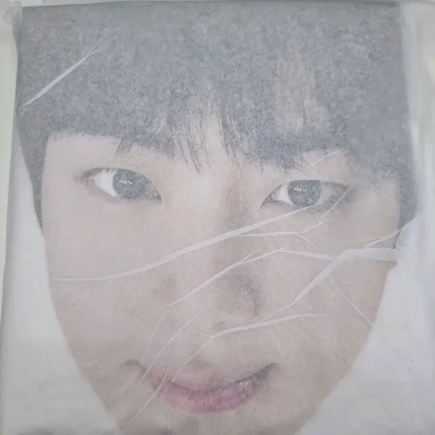 [BUNJANG] BTS Jin Run Jin Cat Face Raincoat / bts진 런석진 고양 얼굴 우비