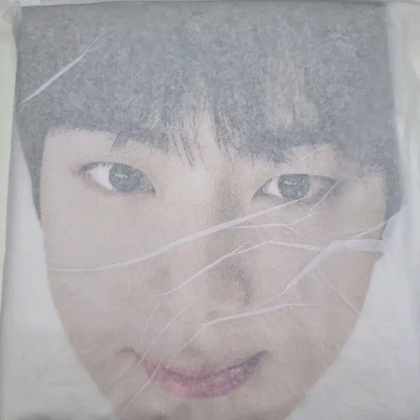 [BUNJANG] BTS Jin Run Jin Cat Face Raincoat / bts진 런석진 고양 얼굴 우비