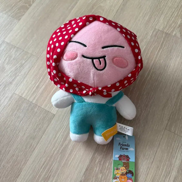 [BUNJANG] Kakao Friends Apeach Plush Toy / 어피치 인형