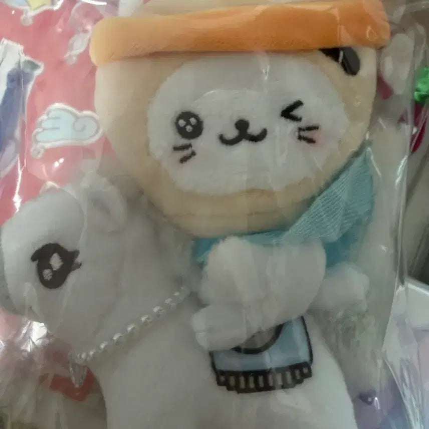 [BUNJANG] Wish Doll White Horse Bubble Cat Photocard / 백마 위시돌 백마탄 버블냥 양도