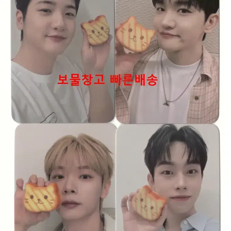 [BUNJANG] Lucy Who's Fan 4-Type Set / 루시 후즈팬 특전 4종 세트