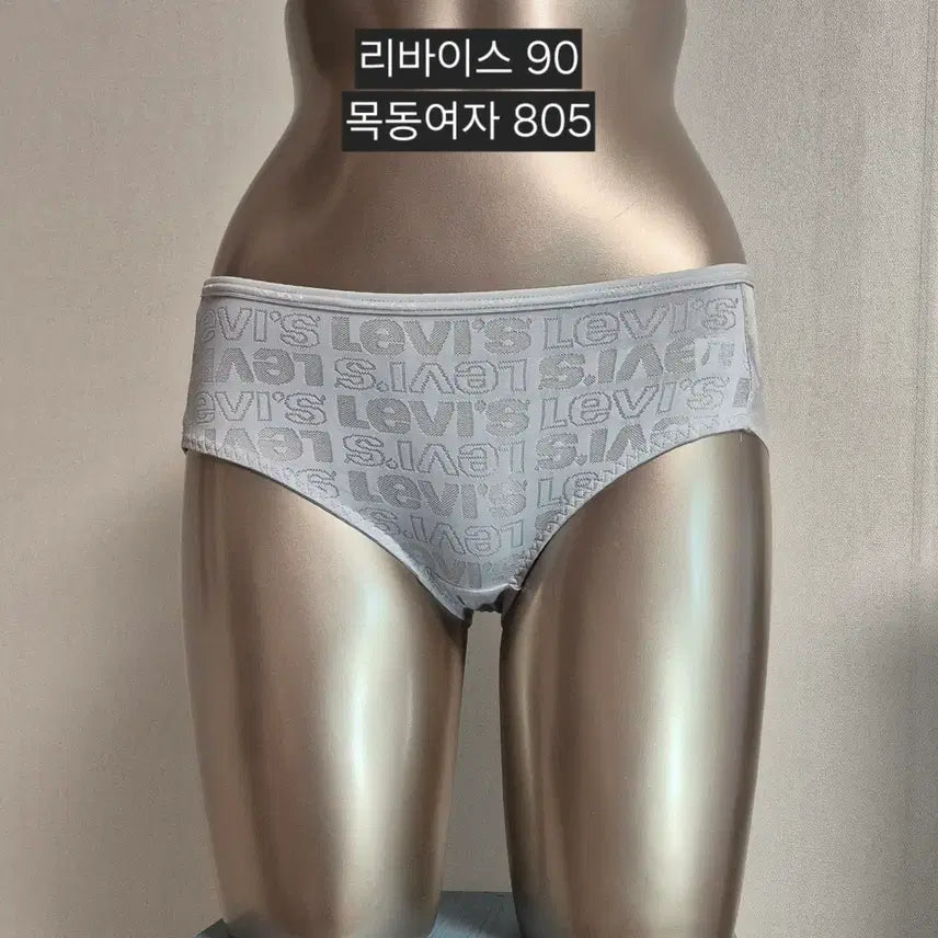 [BUNJANG] Levi's Women's Underwear - Size 90 - Grey / 중고 여성 팬티 리바이스 90 목동 산부꺼