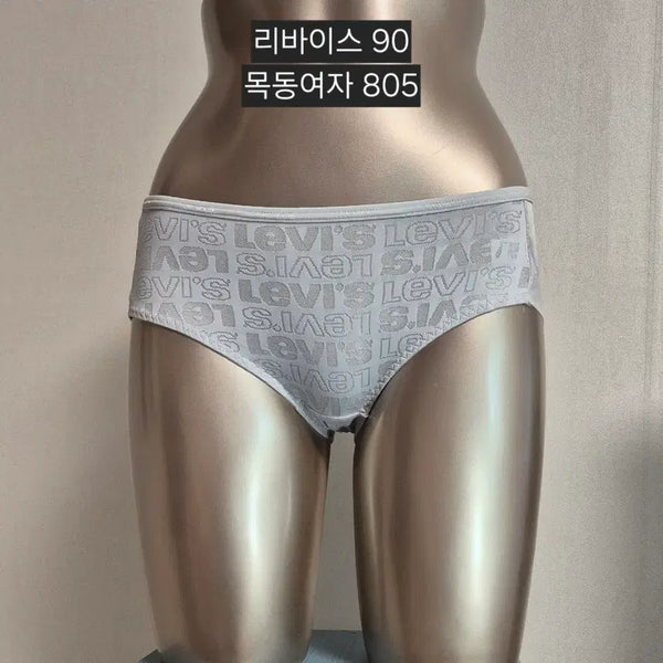 [BUNJANG] Levi's Women's Underwear - Size 90 - Grey / 중고 여성 팬티 리바이스 90 목동 산부꺼