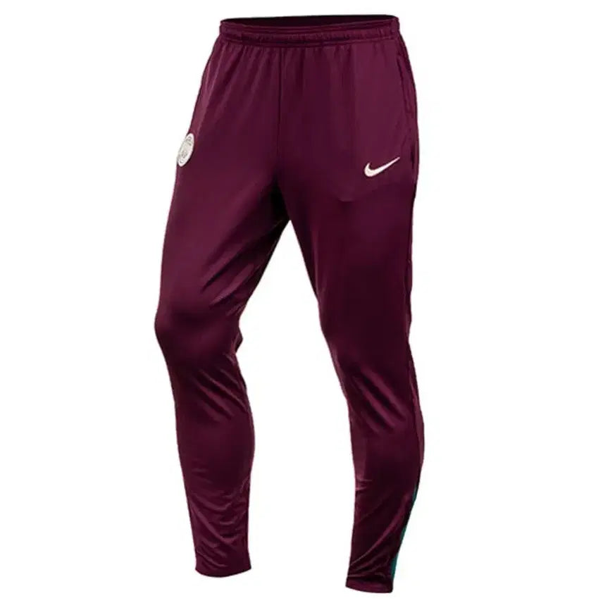[BUNJANG] Nike Paris Saint-Germain Training Pants Burgundy / 나이키 파리 생제르맹 팬츠