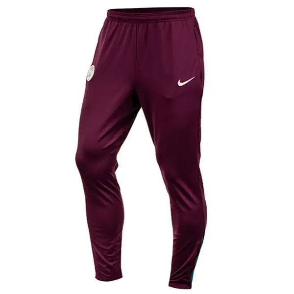 [BUNJANG] Nike Paris Saint-Germain Training Pants Burgundy / 나이키 파리 생제르맹 팬츠