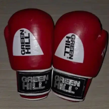 [BUNJANG] Greenhill Aybar 10oz Player's Glove / 그린힐 아이바 10온스