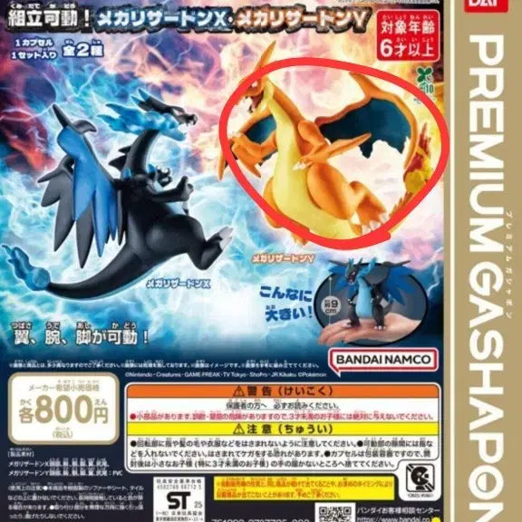 [BUNJANG] Mega Charizard Y Gacha New Product / 메가리자몽y 가챠 새상품 팝니다