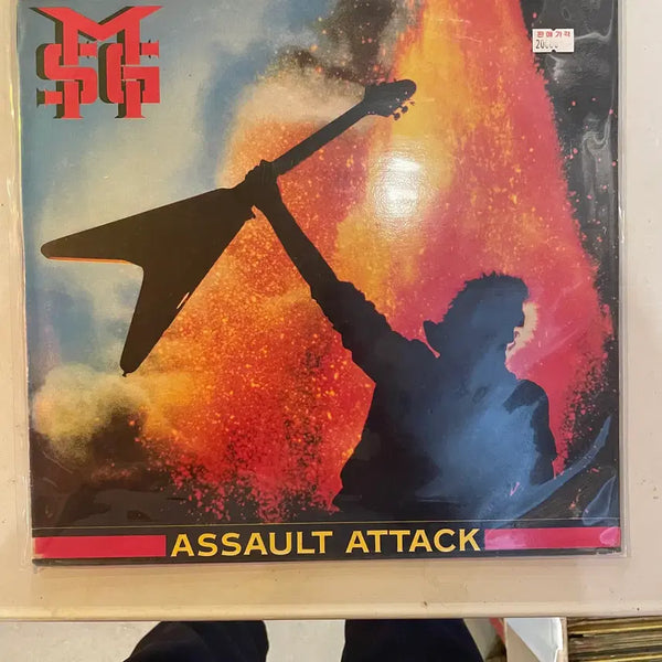 [BUNJANG] Rare 1990s LP Records (Wingard, MSG, etc.) / 잉위망스턴, 윙어 MSG등  1990년대 희귀판 LP / 개별가격