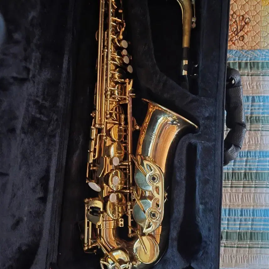 [BUNJANG] Kingston Saxophone / 색소폰 킹스톤