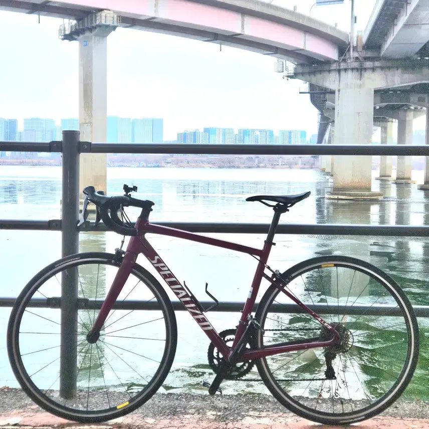 [BUNJANG] Specialized Allez E5 Burgundy Road Bike / [8/9에 글 내림]스페셜라이즈드 알레 e5 급처
