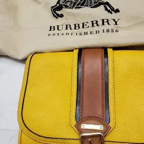 [BUNJANG] Burberry Leather Crossbody Bag / 버버리크로